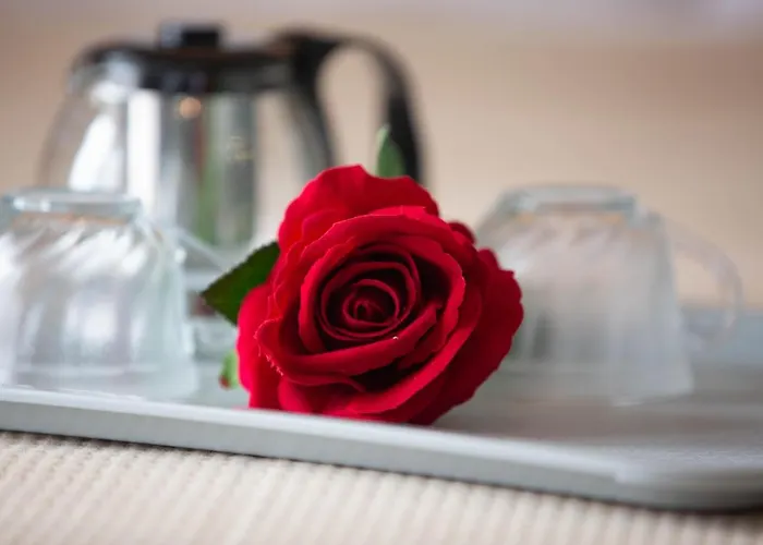 Agapaki * 新马尔马拉斯